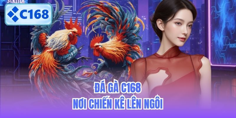 Đá gà C168 - Nơi chiến kê lên ngôi